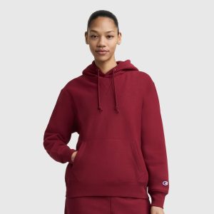 Reverse Weave Hoodie Sweatshirt
